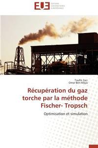 R�cup�ration Du Gaz Torche Par La M�thode Fischer- Tropsch