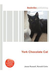 York Chocolate Cat