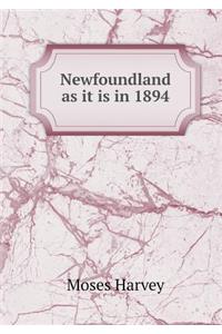 Newfoundland as It Is in 1894