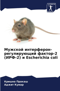 Мужской интерферон-регулирующий фактор