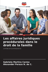 Les affaires juridiques procédurales dans le droit de la famille