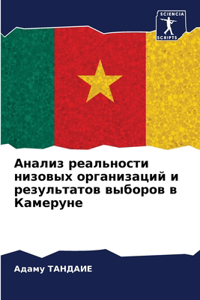 Анализ реальности низовых организаций и р