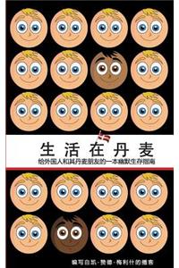 How to Live in Denmark