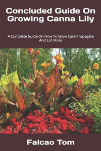 Concluded Guide On Growing Canna Lily