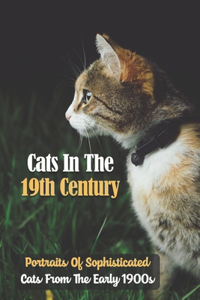 Cats In The 19th Century