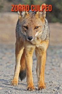 Zorro culpeo