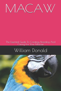 Macaw