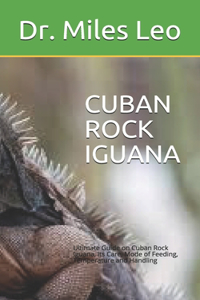 Cuban Rock Iguana