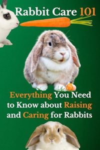 Rabbit Care 101