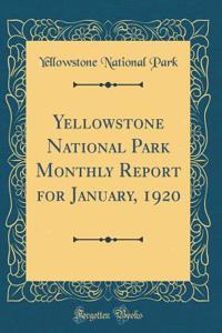 Yellowstone National Park Monthly Report for January, 1920 (Classic Reprint)