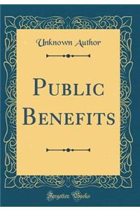 Public Benefits (Classic Reprint)