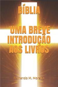 Bíblia - Uma Breve Introdução Aos Livros