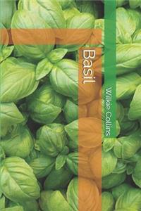 Basil