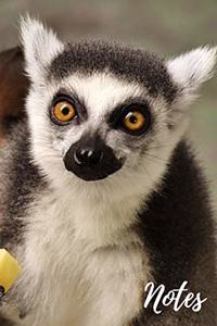 Monkey Lemur Notebook