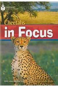 Cheetah Chase: Footprint Reading Library 6