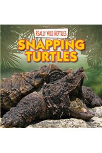 Snapping Turtles