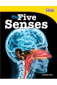 The Five Senses (Library Bound)