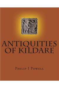 ANTIQUITIES of KILDARE