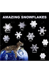 Amazing Snowflakes