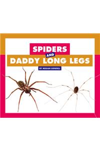 Spiders and Daddy Long Legs