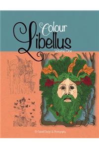 Colour Libellus