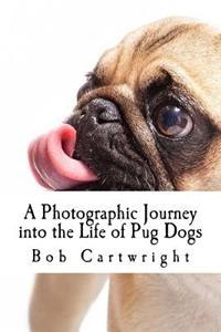 A Photographic Journey into the Life of Pug Dogs