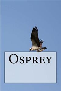 Osprey