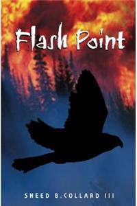 Flash Point
