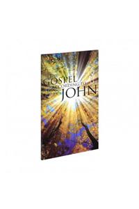 The Gospel According to John