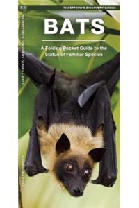 Bats