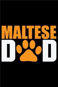 Maltese Dad