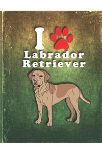Labrador Retriever