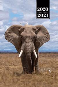 Elephant Mammoth Week Planner Weekly Organizer Calendar 2020 / 2021 - Birds on Head