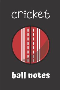 cricket ball notes