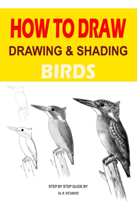 Drawing and shading Birds