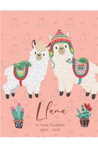 2020-2029 10 Ten Year Planner Monthly Calendar Llama Goals Agenda Schedule Organizer