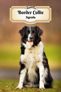 2020 Border Collie Agenda