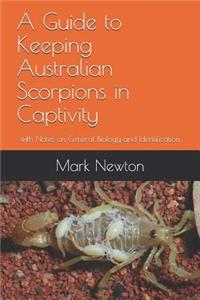 Guide to Keeping Australian Scorpions in Captivity