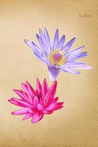 Lotus