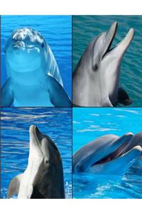 Dolphins Picture Notebook Journal 150 Page College Ruled Pages 8.5 X 11
