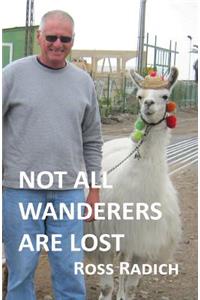 Not all Wanderers are Lost