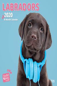 Labradors 2020 Square Wall Calendar