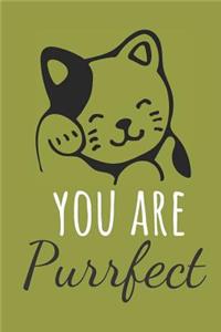 You Are Purrfect