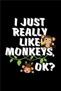 I Just Really Like Monkeys, Ok?