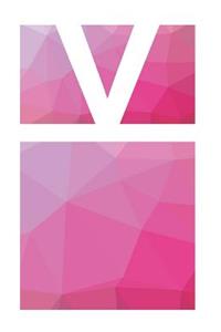 V Initial Notebook