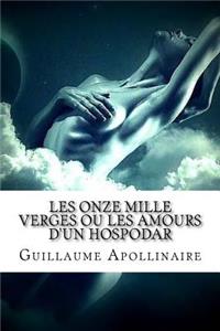 Les Onze mille verges ou les Amours d'un hospodar