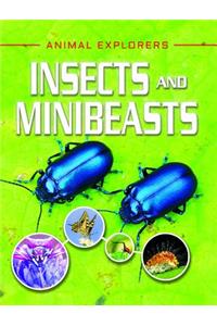 Insects and Minibeasts