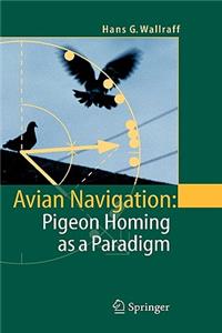 Avian Navigation: Pigeon Homing as a Paradigm