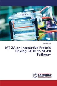MT 2A an Interactive Protein Linking FADD to NF-kB Pathway