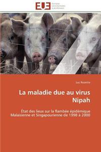 maladie due au virus nipah